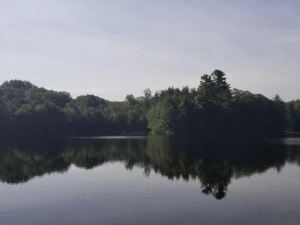 Screenshot 2025-05-20 at 9.29.03 AM